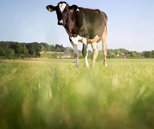 Puur Дом отдыха *