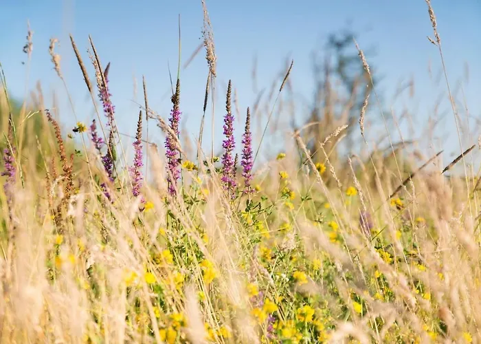 Puur Дом отдыха *